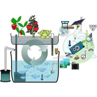 Bộ học tập arduino aquaponic