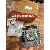 Bộ hơi WAVE RSX FI , xilanh wave s110 , lòng honda