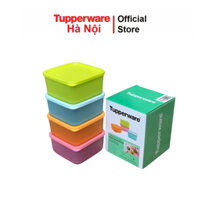 Bộ hộp bảo quản thực phẩm ngăn mát Small Square Round 4 hộp Tupperware nhựa nguyên sinh