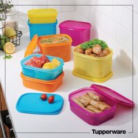 Bộ hộp bảo quản thực phẩm Colorful Rectangular 8 hộp TUPPERWARE CHÍNH HÃNG