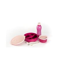 Bộ Hộp Cơm Tupperware Fit To Go Màu Hồng – Xanh