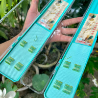 Bộ Hộp Đựng Thẻo Set 20 Thẻo Lưỡi Đôi Buộc Sẵn  Lưỡi Câu Nanh Sói Xanh Chuyên Câu Đài Câu Đơn Y2K