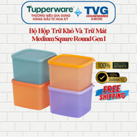 Bộ Hộp Nhựa Nguyên Sinh Tupperware Medium Square Round Gen I (4 Hộp) 840ml - An toàn sức khỏe
