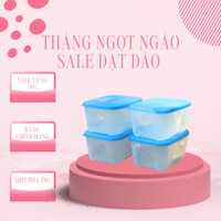 Bộ Hộp Trữ Đông TUPPERWARE Hộp 650ml (Hộp Lẻ Không Kèm Hộp)