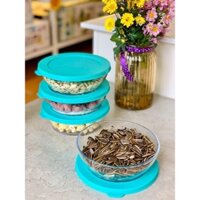 Bộ Hộp Tupperware Bảo Quản Thực Phẩm Clear Bowl 750ml 4 hộp