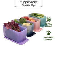 Bộ Hộp Tupperware Bảo Quản Thực Phẩm Funtastic Four 3.1L (4 Hộp 3.1L) - Nhựa Nguyên Sinh - Bảo Hành Trọn Đời