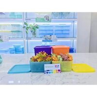 Bộ hộp Tupperware Small Square Round - 650ML (4 màu ngẫu nhiên)