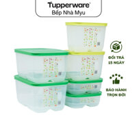 Bộ Hộp Tupperware Trữ Mát Có Nút Hô Hấp Ventsmart (6 Hôp)