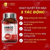 Bổ Huyết Ích não Ginkgo 10000