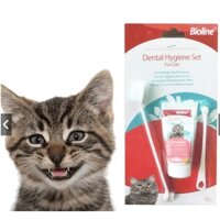 Bộ Kem Đánh Răng Bàn Chải Đánh Răng Mèo Dental Hygiene Set Bioline 50g
