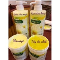 Bộ kem hoa cúc dành chăm sóc da