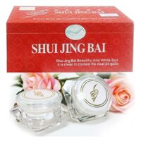 BỘ KEM XÓA NÁM , DƯỠNG DA CAO CẤP SHUI JING BAI- THỦY TINH BẠCH (2IN 1)