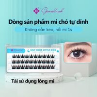 Bộ Keo Dán Lông Mi Giả Tự Dính diy