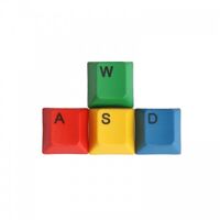 Bộ Keycap PBT RGBY WASD - OEM Profile