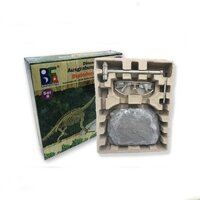 Bộ khảo cổ học cho bé – Khủng long cổ dài Diplodocus