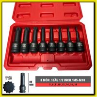 Bộ khẩu M hoa khế 1/2 inch 8 món