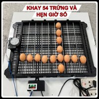 Bộ Khay 54 Trứng Và Hẹn Giờ Đảo Tự Động Dùng Nâng Cấp Máy Ấp Trứng Đảo Tay