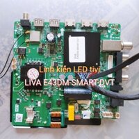 Bo khiển liền nguồn LIVA E43DM-SMART-DVT