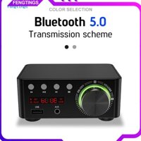 Bộ khuếch đại âm thanh công suất HiFi 5.0 tương thích Bluetooth kỹ thuật số FTS Thẻ TF USB Máy nghe nhạc MP3