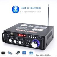 Bộ khuếch đại công suất nhỏ Mini Thẻ loa U Disk Radio Bộ khuếch đại công suất Bluetooth