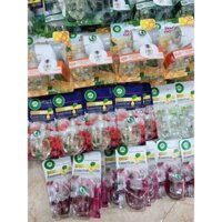 Bộ khuếch tán phòng ngủ Airwick