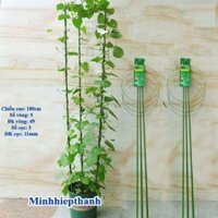 Bộ khung đỡ, giá đỡ hồng leo, hoa leo đa năng kích thước cao 180cm, 5 vòng