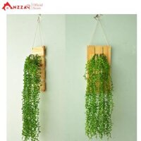 Bộ khung gỗ lọ thủy tinh trồng cây thủy sinh treo tường
