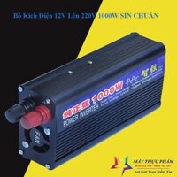 Bộ kích điện ắc quy Sin chuẩn Inverter 1000W