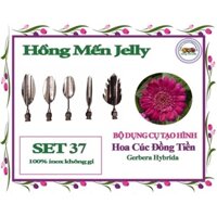 Bộ kim Làm thạch 3D các hoa tự chọn: hoa đồng tiền, hoa phượng... set gồm 5 kim