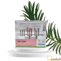 Bộ kit đánh bóng Composite (9cây/bộ)