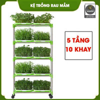 Bộ kit kệ khay trồng rau mầm thủy canh chuyên dụng - 5 tầng 10 khay