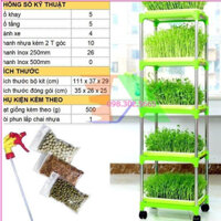 Bộ kit Khay trồng rau mầm thủy canh chuyên dụng - 5 Khay, Giá đỡ 5 tầng, Vòi x.i.t, Hạt giống