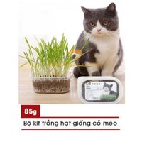 Bộ Kit Trồng Hạt Giống Cỏ Mèo – 85gr