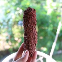 Bó lá xô thơm huyết rồng Dragons blood sage  - 10-12cm