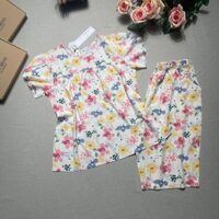 Bộ Lanh Lửng Tay Búp Sen Minh Minh, Đồ Bộ Tole Mặc Nhà Họa Tiết Dễ Thương Siêu Thoáng Mát LS01