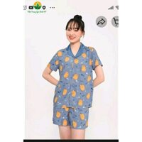 Bộ lanh quần đùi, áo cộc tay Việt Thắng