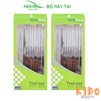 Bộ Lấy Ráy Tai Cao Cấp NGHĨA Bằng Thép Không Gỉ Tool Ear Pick (10 Cây)