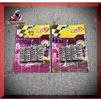Bộ lò xo đầu Exciter 135 Redleo MS35