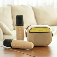 Bộ loa & micro Bluetooth Mini không dây Royche BTS-520M