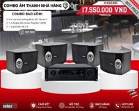 Bộ Loa Nghe Nhạc Nhà Hàng Không Gian Mở - Bose 301 Series V