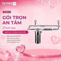 Bộ lọc nước tổng đầu nguồn mini Geyser Ecotar 1F1As