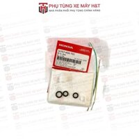 Bộ lọc xăng HONDA CB150R _(16707K94T01)
