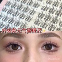 Bộ Lông Mi Giả Mắt Mèo Làm Mắt To