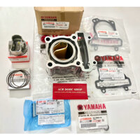 Bộ Lòng Piston Bạc Ắc Phe Ron Chính Hãng Malaysia cho Ex135 / Exciter 135