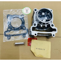 Bộ lòng piston bạc xe Exciter 150 (Ex150)