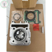 Bộ lòng piston bạc xe Nozza