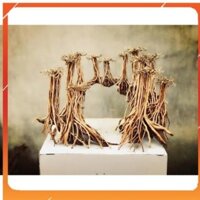 Bộ Lũa  layout Rừng Bay 50x35cm