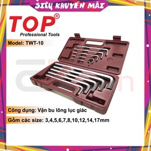 Bộ Lục giác 10 chi tiết TWT-10-INCH