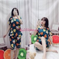 🥳🎉BỘ LỬNG PIJAMA TOLE LANH TAY NGẮN CỔ TRÒN MỚI VỀ SỌC CARO BÔNG HOA🌼🌸TRÁI DÂU🍓TRÁI TIM💖BÒ SỮA 🐄 HOẠT HÌNH🐦🐼🐤 SIÊU CƯNG