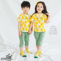 Bộ lửng PUCO Hàn quốc